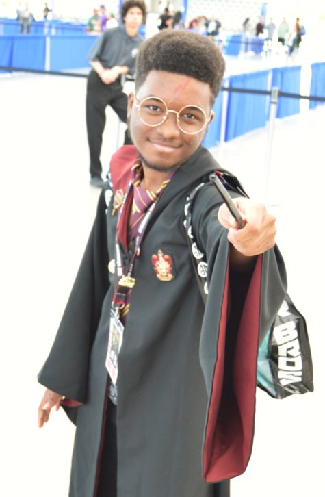 Harry Potter cosplay